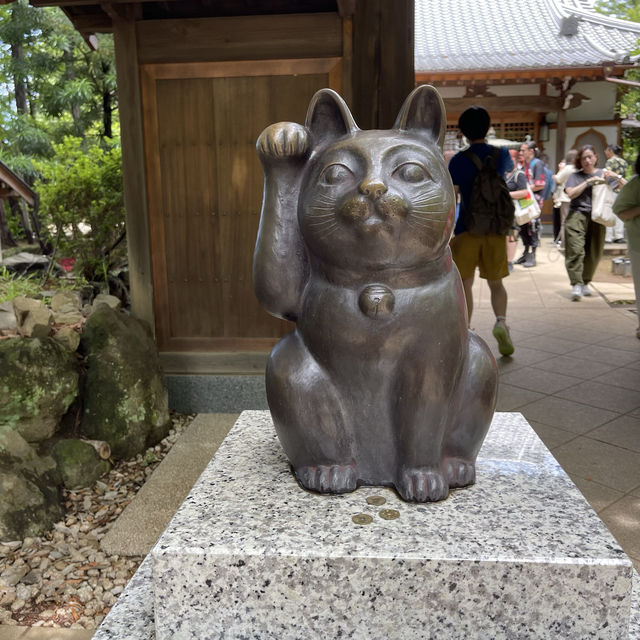 東京另類探貓行程 - 招財貓神社 「豪德寺」