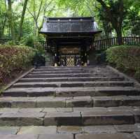 Discover the Captivating Allure of Miyagi