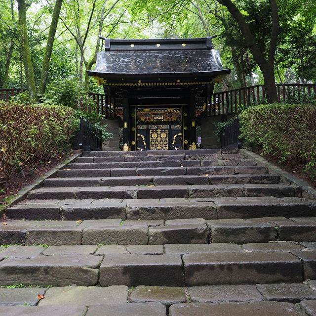 Discover the Captivating Allure of Miyagi