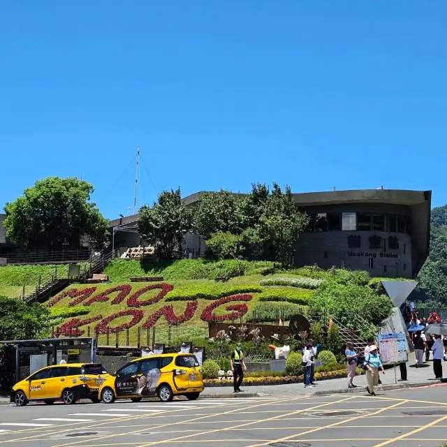 去了很多次台北,貓纜都是第一次