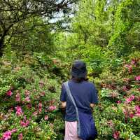 제주여행🏝️ 열네번째 오름, 꽃과 허브로 가득한 모구리오름🌿