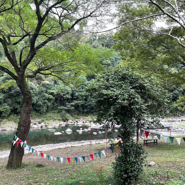 【大分】この景色、この空気、この牛！まさに一期一会✨
