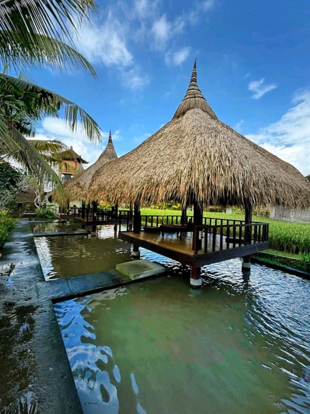 The Campuhan Ridge Walk, a nature escapade in Ubud, Bali