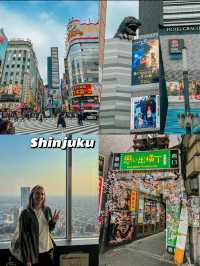 Tokyo: Solo Trip Guide & Tips! 🇯🇵