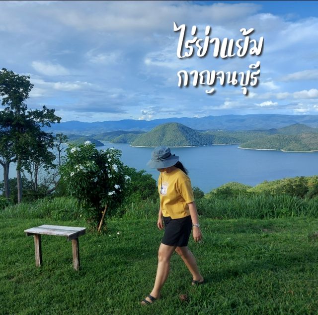 ไร่ย่าแย้ม จุดชมวิวเขื่อนศรีนครินทร์สุดปัง