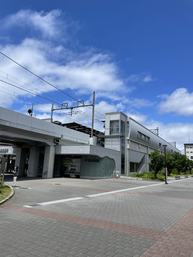 【京都:京都駅エリア】子どもから大人まで楽しめる梅小路ポテル京都