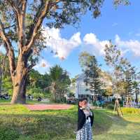 Maya ริมเล คาเฟ่บนเกาะสุกร จ.ตรัง
