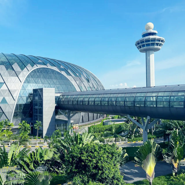 A World-Class Travel Experience at Changi Airport