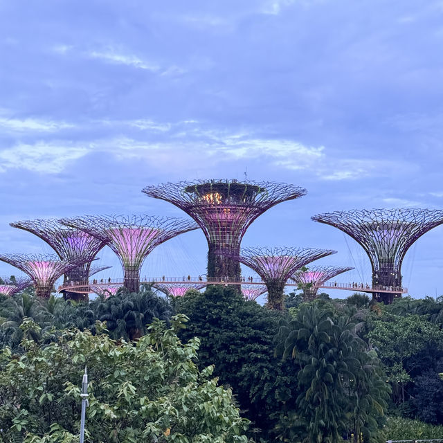 A Journey Through Nature and Neon Lights