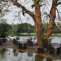 SOP Cafe - คาเฟ่ของกาลเวลาและธรรมชาติ