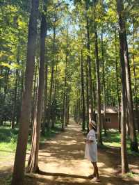 나는솔로 촬영지로 뜨고있는 영덕여행지💚