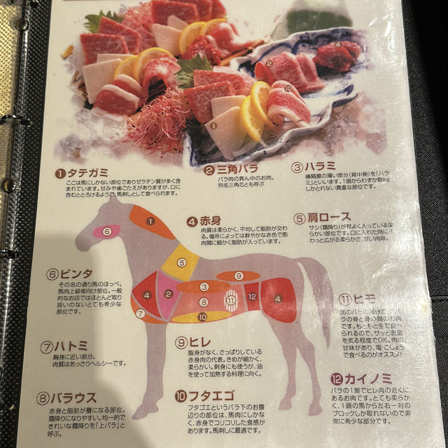 再訪熊本第一的馬肉料理居酒屋🥰