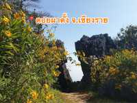 📍ดอยผาตั้ง จ.เชียงราย