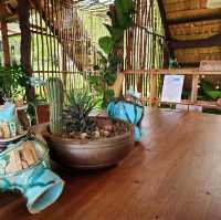 คาเฟ่แบบสโลว์บาร์ Go Back Home