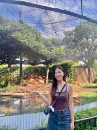 東京 | 漫遊東京市內動物園 適合⼀家大細嘅行程🐼