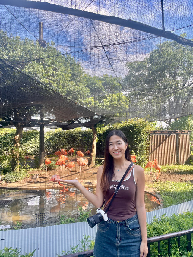 東京 | 漫遊東京市內動物園 適合⼀家大細嘅行程🐼