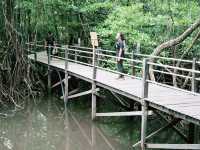 Kabili-Sepilok Forest Reserve
