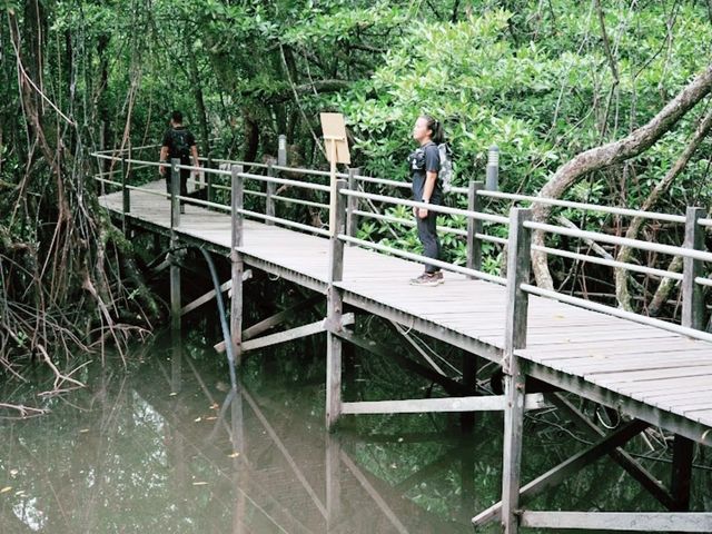 Kabili-Sepilok Forest Reserve