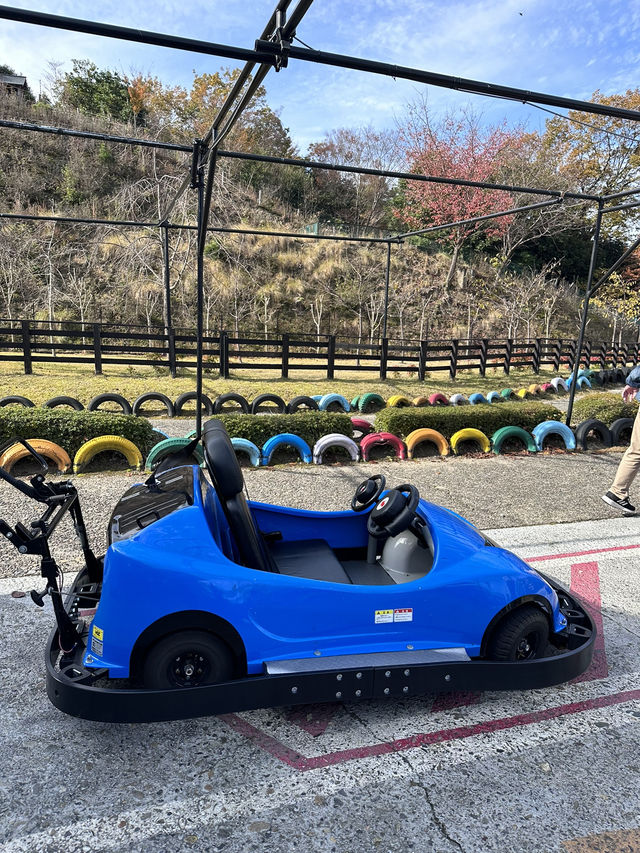 🇯🇵 京都近郊 日本三景之一的天橋立