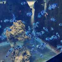 潮境智能海洋館：科技與海洋的完美融合