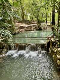 น้ำพุธรรมชาติบ้านท่าช้าง เขาใหญ่🌳