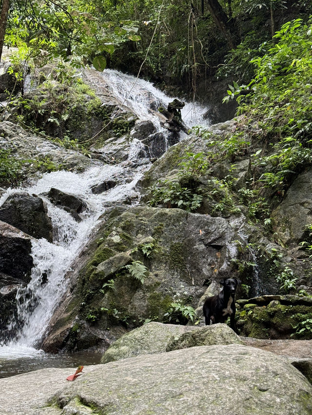 น้ำตกแม่กำปอง | จ.เชียงใหม่ 🪨💦🌿🌳
