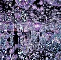 Tokyo Teamlab Borderless