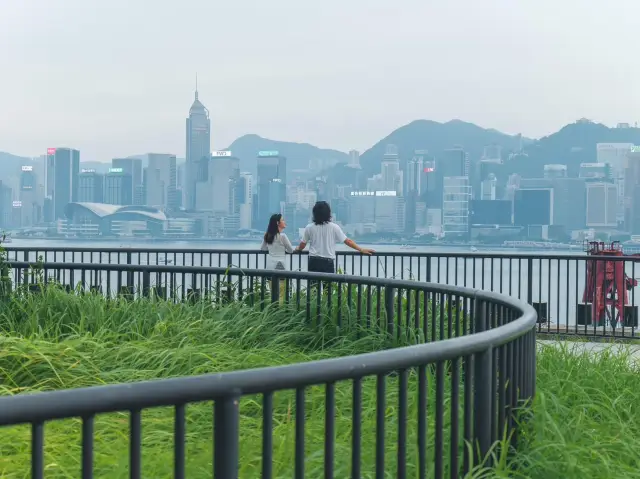 Secret Viewing Spot in Hong Kong
Free Entry.