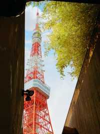 日本東京鐵塔｜拍照機位分享｜打卡