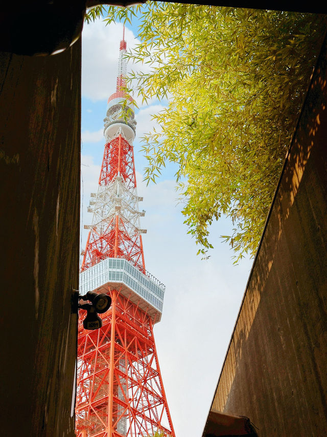 日本東京鐵塔｜拍照機位分享｜打卡