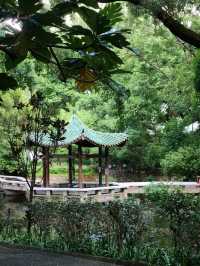 홍콩 도심에서 홍학을 만날 수 있는 구룡공원(kowloon park)