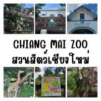 ✨ พาทัวร์สวนสัตว์เชียงใหม่ ⛰️🐨🦒🐘🐢🦋