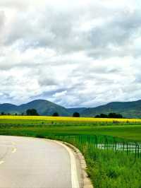 Living in My Dream of Canola Flower Field in Shangri-La