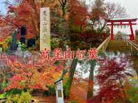 高尾山紅葉-寺廟、鳥居與紅葉融合，形成美麗的風景畫