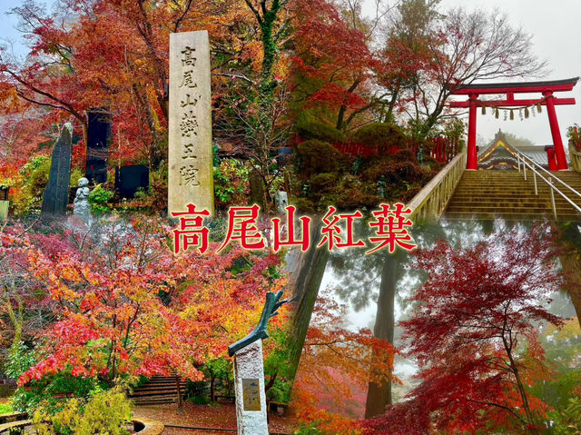高尾山紅葉-寺廟、鳥居與紅葉融合，形成美麗的風景畫