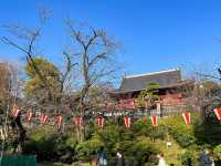 東京景點｜上野公園：櫻花之約