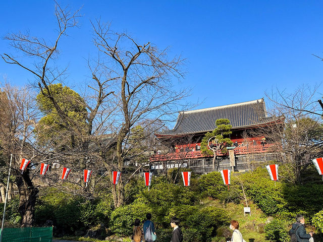 東京景點｜上野公園：櫻花之約