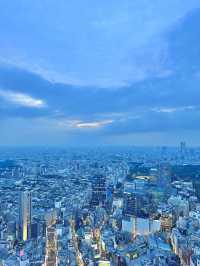 🇯🇵 東京最高點景色🫶🏻🌃