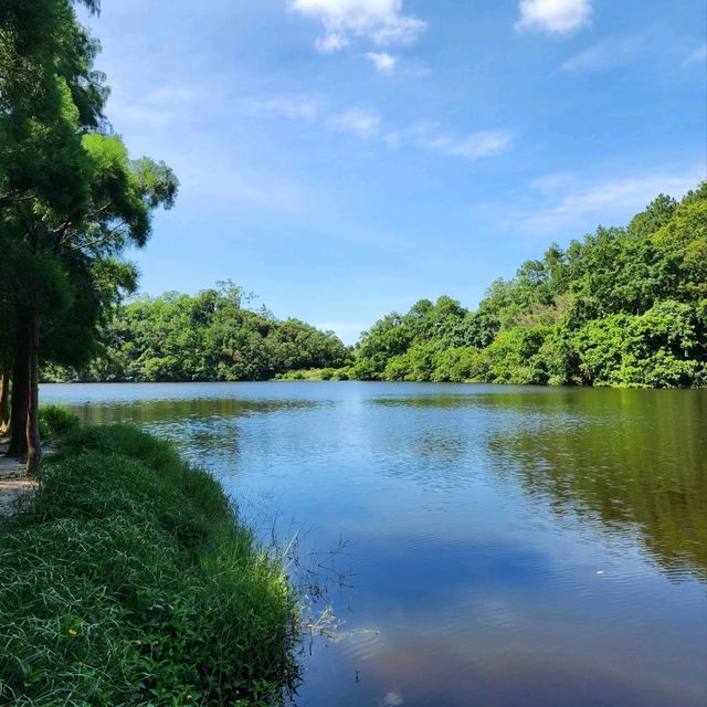 香港流水響水塘🏞丨2小時路程賞天空之鏡！