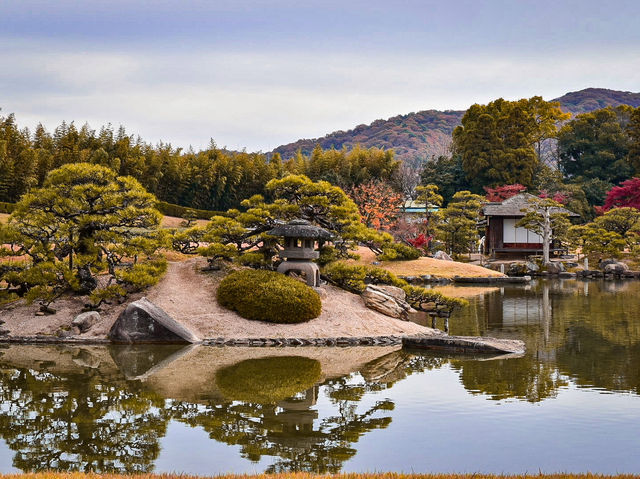【岡山】日本三名園！秋の後楽園は紅葉が綺麗🍁
