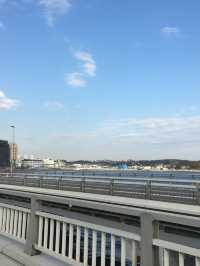 【神奈川県･江ノ島】江ノ島を一望！絶景ポイント✨️