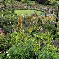 Vibrant Victorian Summer (2/2)