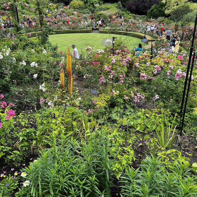 Vibrant Victorian Summer (2/2)