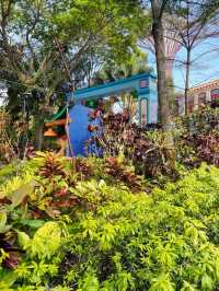 You won’t believe there are such lovely flower trails in Singapore