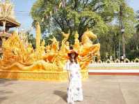 ทุ่งศรีเมือง