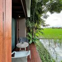 ที่พักเชียงใหม่กลางทุ่งนา 🏡🌾