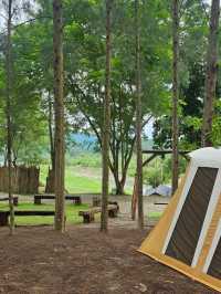 Phupha Coffee Camp ภูผา คอฟฟี่ แค้มป์