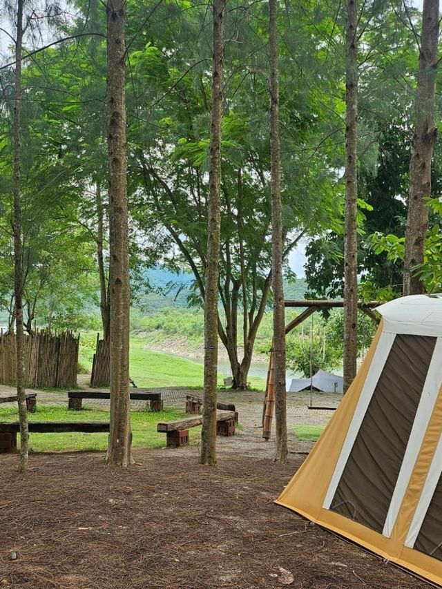 Phupha Coffee Camp ภูผา คอฟฟี่ แค้มป์