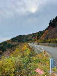 【福島】今だけ!!秋ドライブで紅葉を見に行こう!!