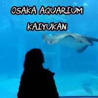 Osaka Aquarium Kaiyukan 🐠🩵